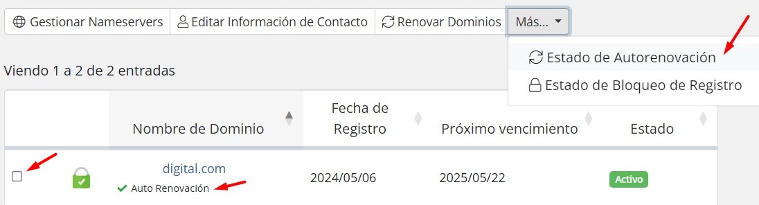 Opción de auto renovación de un dominio